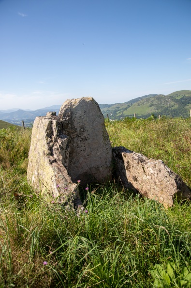 20230818-20.jpg