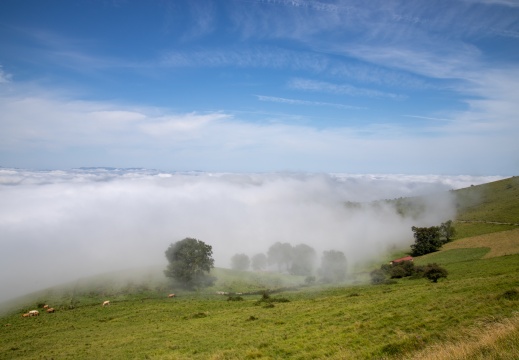 Mer de nuages
