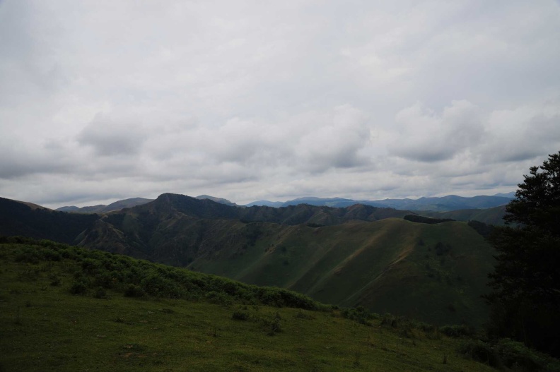 20250706-2858.jpg