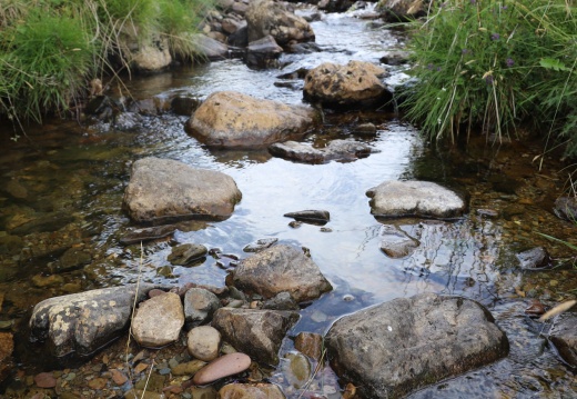 Ruisseau de Sourzay