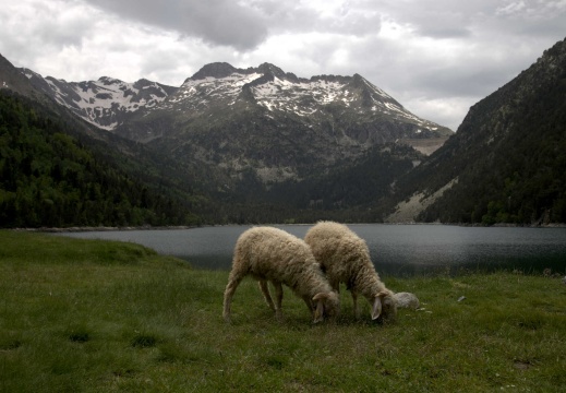 Lac d'Orédon (1 849 m), Grand Pic des Alharisses (2 993 m), pic Central des Alharisses (2 903 m) et Petit pic des Alharisses (2 825 m)